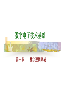 脉冲与数字电路课件