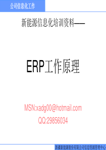 ERP---ERP工作原理（PPT200页）