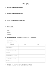 【房地产】 审计计划