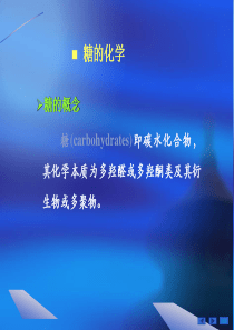 生物化学糖的化学