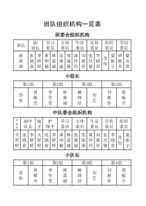 班队组织机构一览表