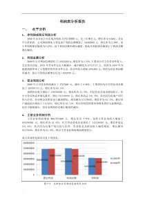 利润表分析-例文