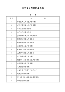 公司安全规章制度范本