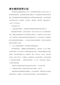 青年教师培养计划