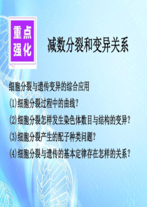 减数分裂和变异共52页