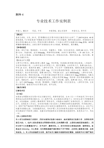 专业技术工作实例表