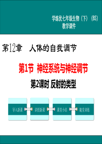 《反射的类型》PPT课件