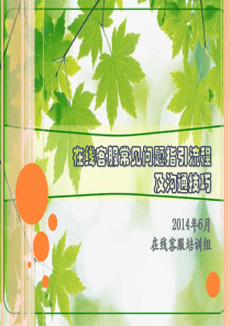 在线客服常见问题指引流程及沟通技巧()资料