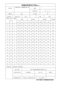 电梯绝缘电阻测试记录表