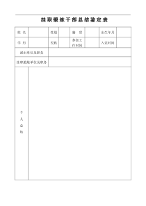 挂职锻炼干部总结鉴定表