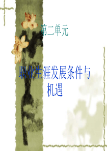 职业生涯发展条件与机遇-