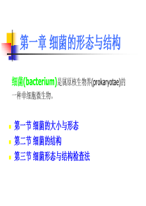 2细菌的形态与结构总结