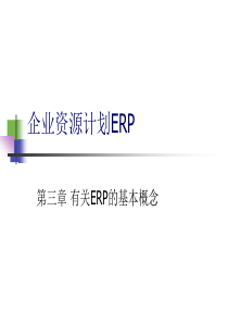 erp-3