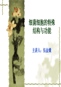 细菌的特殊结构