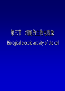 生理学细胞的生物电现象(课堂PPT)