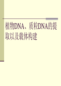 植物DNA、质粒DNA的提取以及载体构建