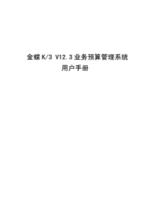 金蝶K3V123业务预算管理系统用户手册