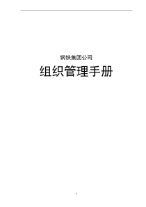 钢铁集团公司组织管理手册