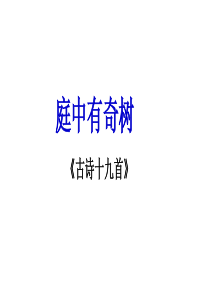 《庭中有奇树》