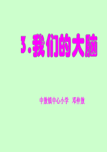 《我们的大脑》课件PPT