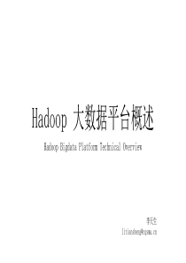 Hadoop大数据框架概述-主汇报PPT