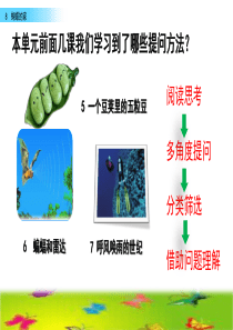 部编版四年级上册语文课件-8-蝴蝶的家