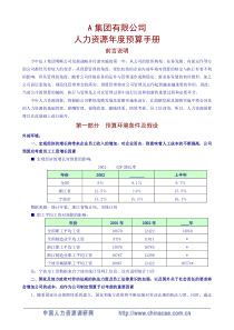 集团公司人力资源年度预算手册