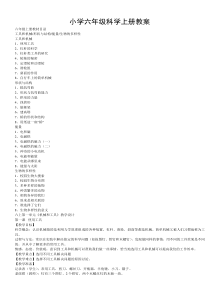 小学六年级科学上册教案