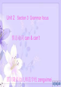 情态动词CAN的教学.ppt