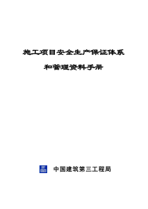 项目安全生产管理资料手册(局)