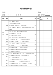 销售人员绩效考核表(精品）