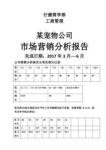 市场营销——某宠物公司营销报告