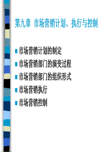 第十章 市场营销计划、执行