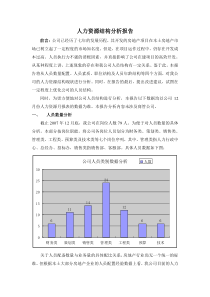 公司人力资源结构分析报告