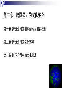 03-跨国公司文化整合