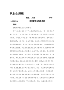 信息管理与信息系统职业规划