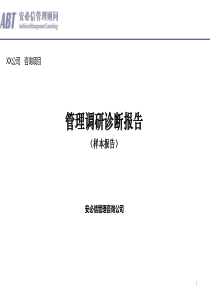 安必信顾问管理咨询项目诊断报告(样本)