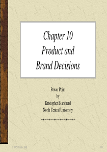 ch10ProductandBrandDecisions(全球营销,沃伦·J·