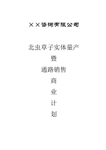 17.××咨询公司商业计划书