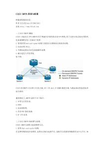 CISCO DMVPN原理与配置[红头发版]