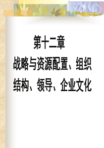 B12战略与资源配置、组织结构、领导、企业文化(本科