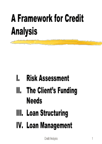 aframeworkforcreditanalysis加拿大著名咨询公司在