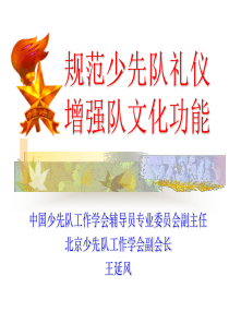 1规范少先队礼仪(王延风)