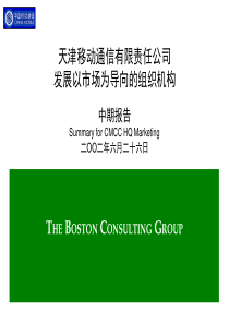 BCG咨询报告（PPT53页)