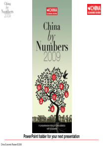 chinanumber2009顶级咨询数据-434页巨著