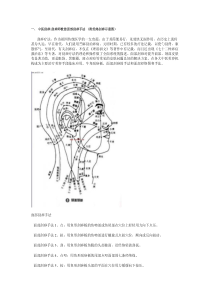 面部刮痧手法及经络图