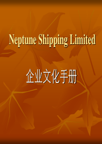 neptune企业文化手册