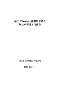 试生产情况总结报告