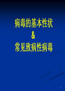 病毒总论及常见致病病毒