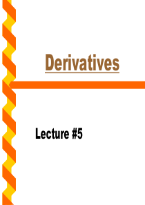 derivatives加拿大著名咨询公司在建设银行的讲座5